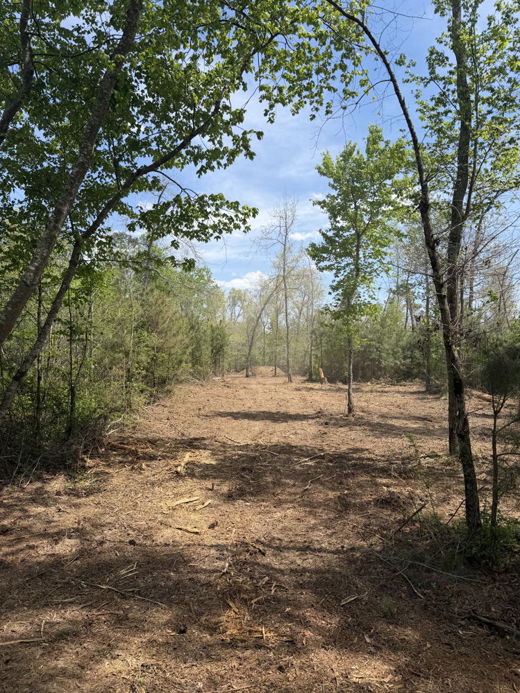 April 2026 shooting range land clearing project - photo 5