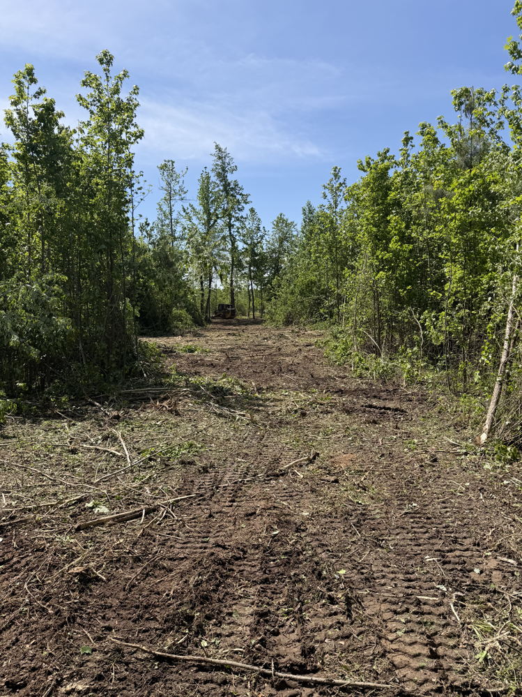 April 2026 shooting range land clearing project - photo 3