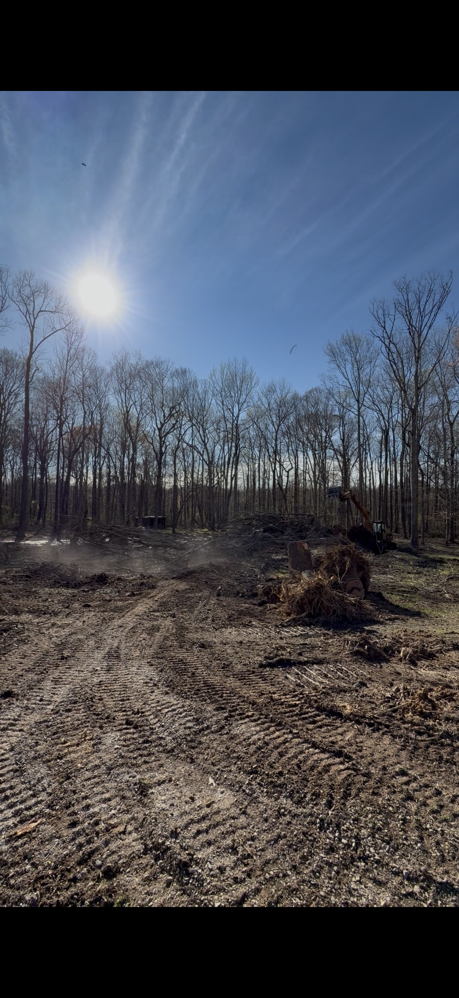 February 2026 land clearing and sod project - photo 1