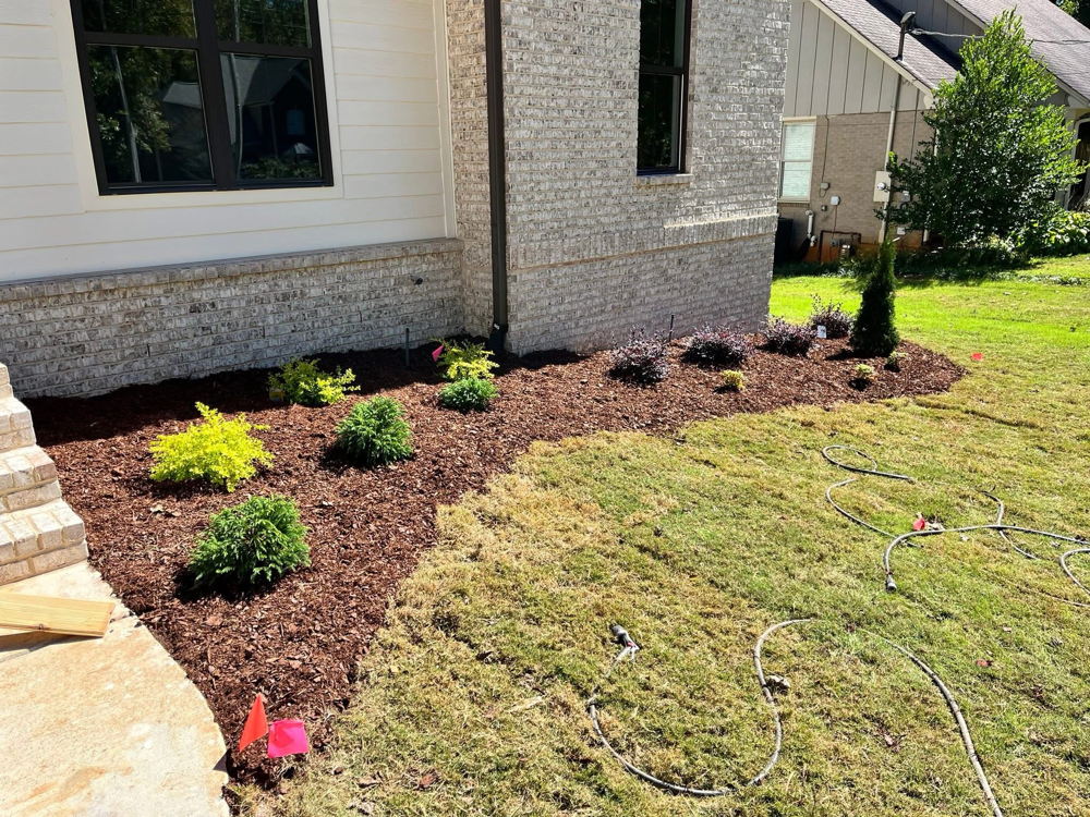 Lawn and landscaping project