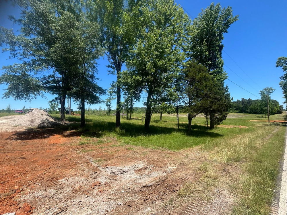 Land clearing project