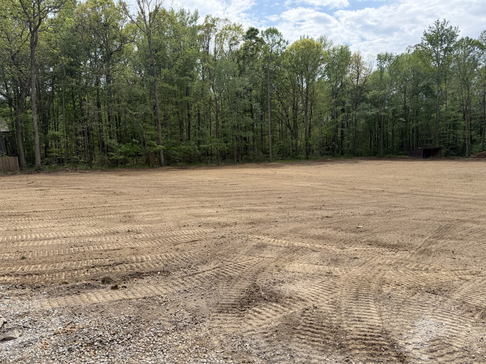 February 2026 land clearing and sod project - photo 3