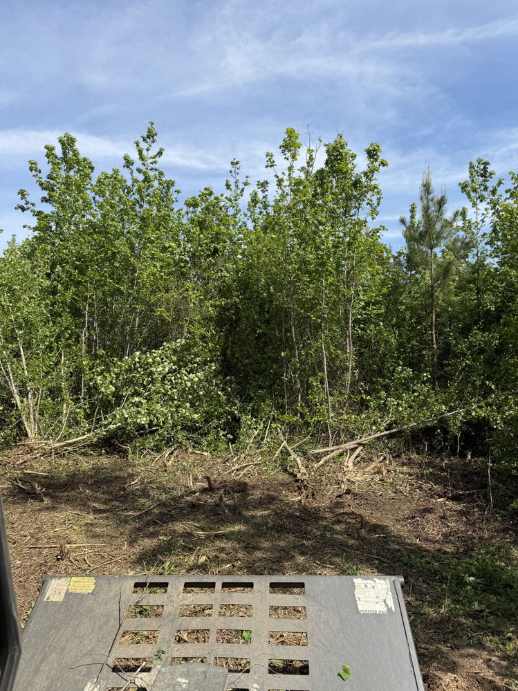 April 2026 shooting range land clearing project - photo 1