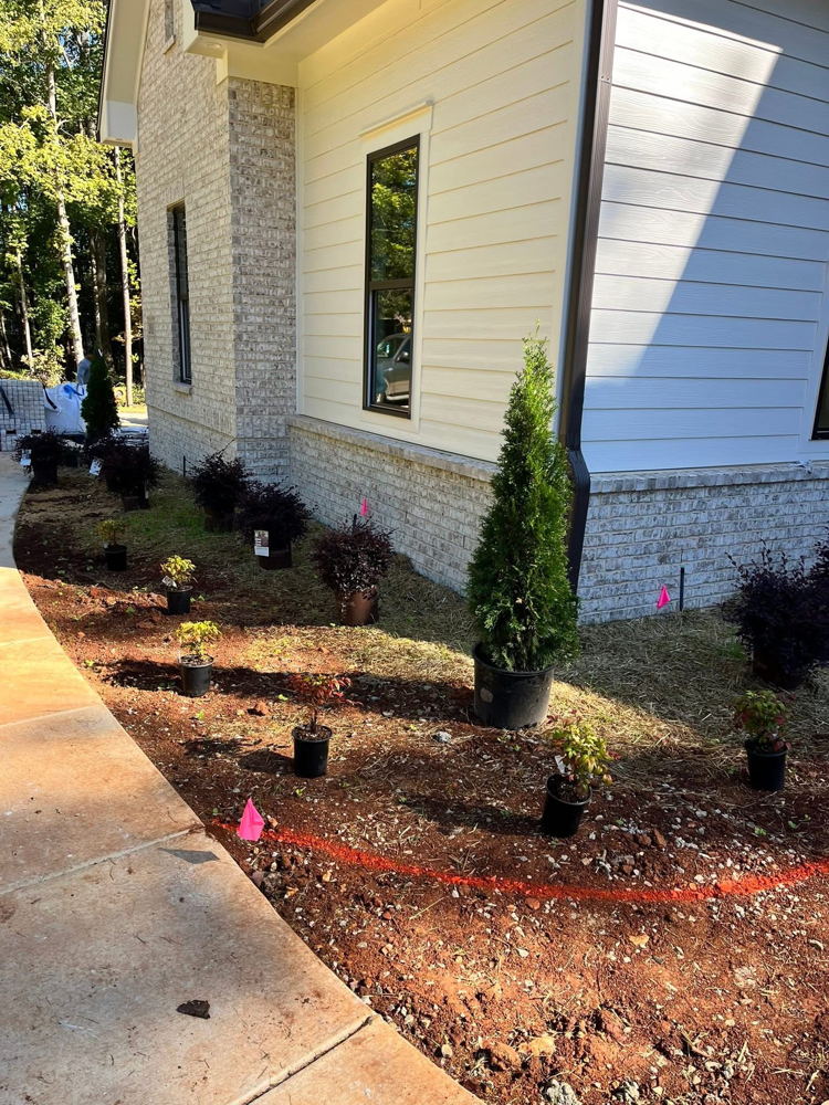 Lawn and landscaping project