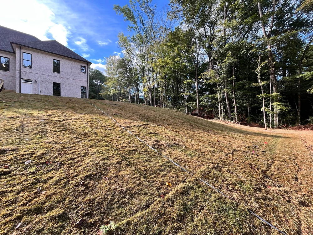 Lawn and landscaping project