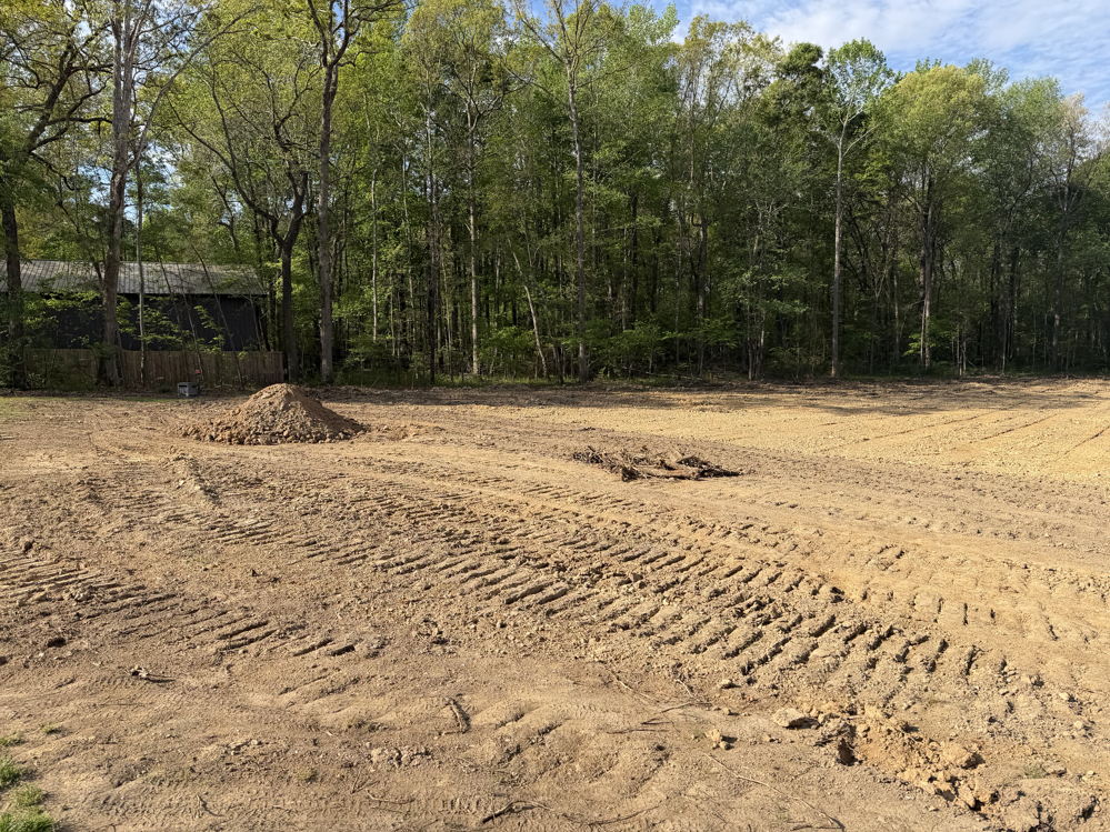 February 2026 land clearing and sod project - photo 2