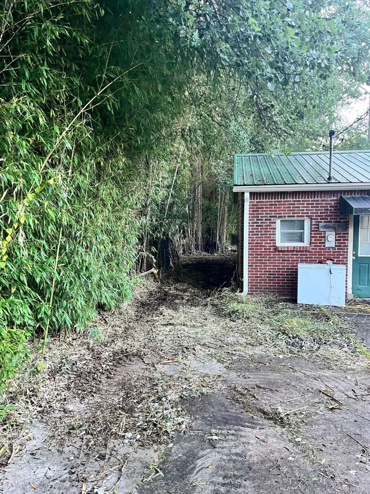 Land clearing project