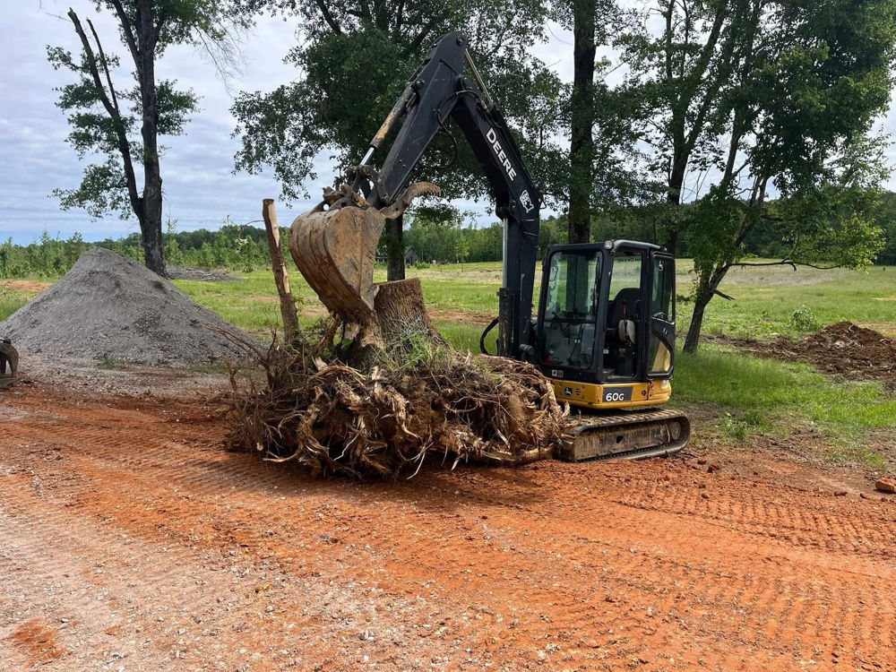 Land clearing project
