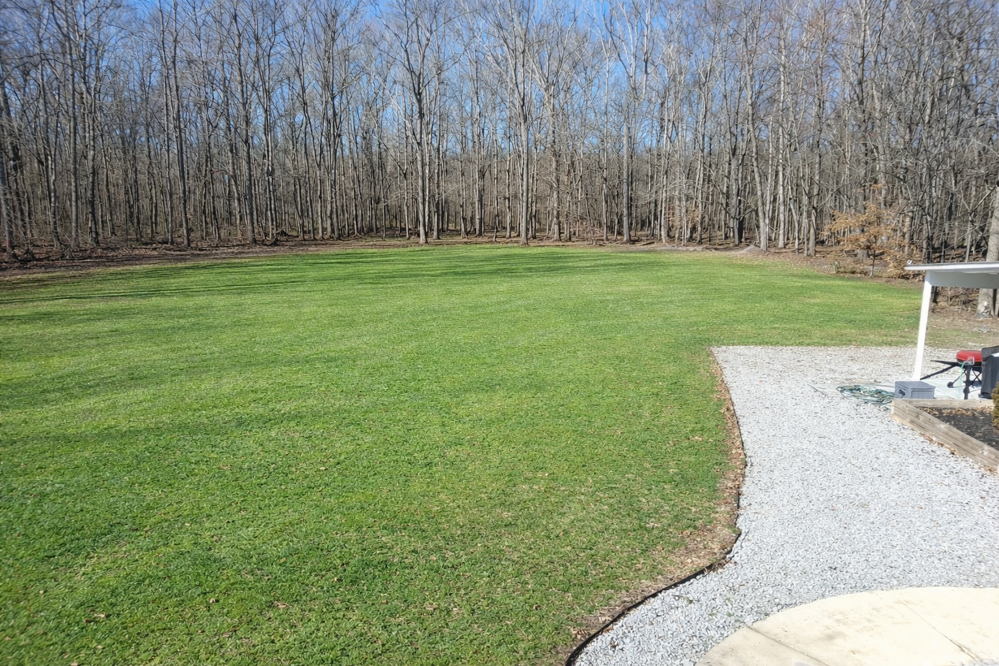 February 2026 land clearing and sod project - photo 6