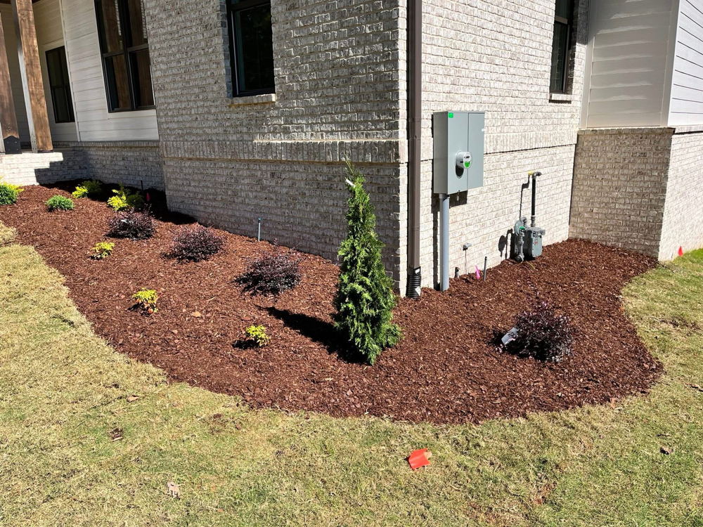 Lawn and landscaping project