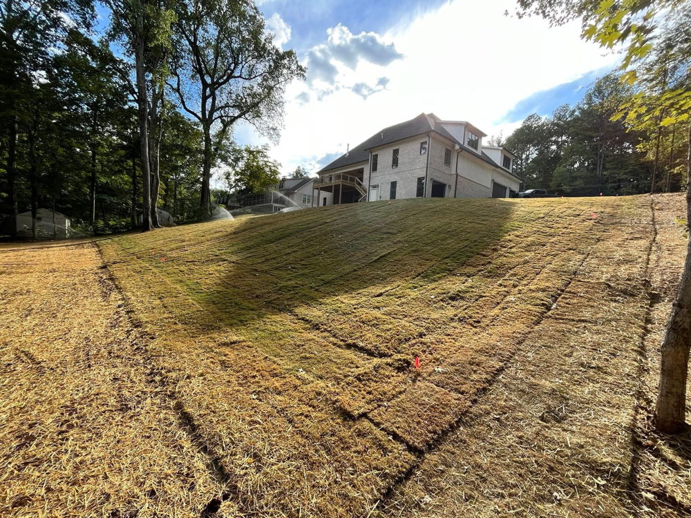 Lawn and landscaping project