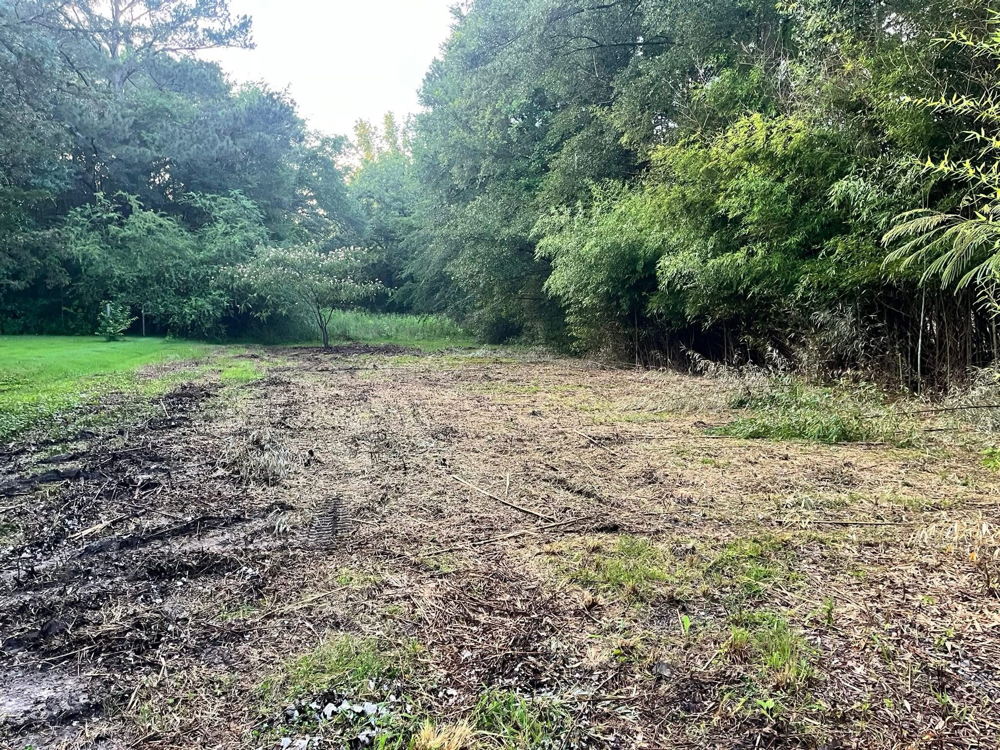 Land clearing project