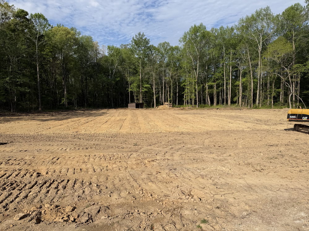 February 2026 land clearing and sod project - photo 5