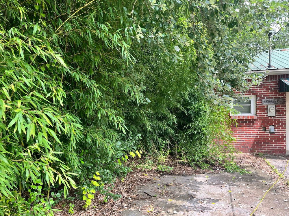 Land clearing project
